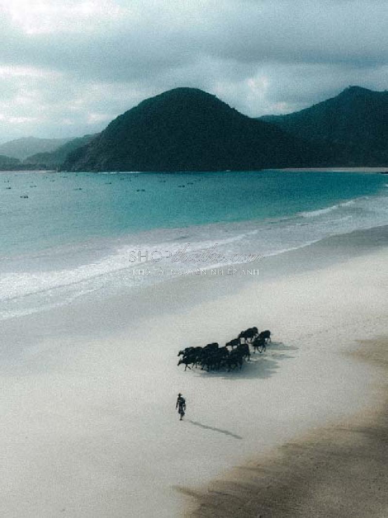 Bộ 94 Preset Presetszone 2025 - Giải Pháp Chỉnh Màu Đa Phong Cách Cho Mọi Thể Loại Ảnh (XMP/DNG/CUBE) 126 shopthietke com No89 DREAM004