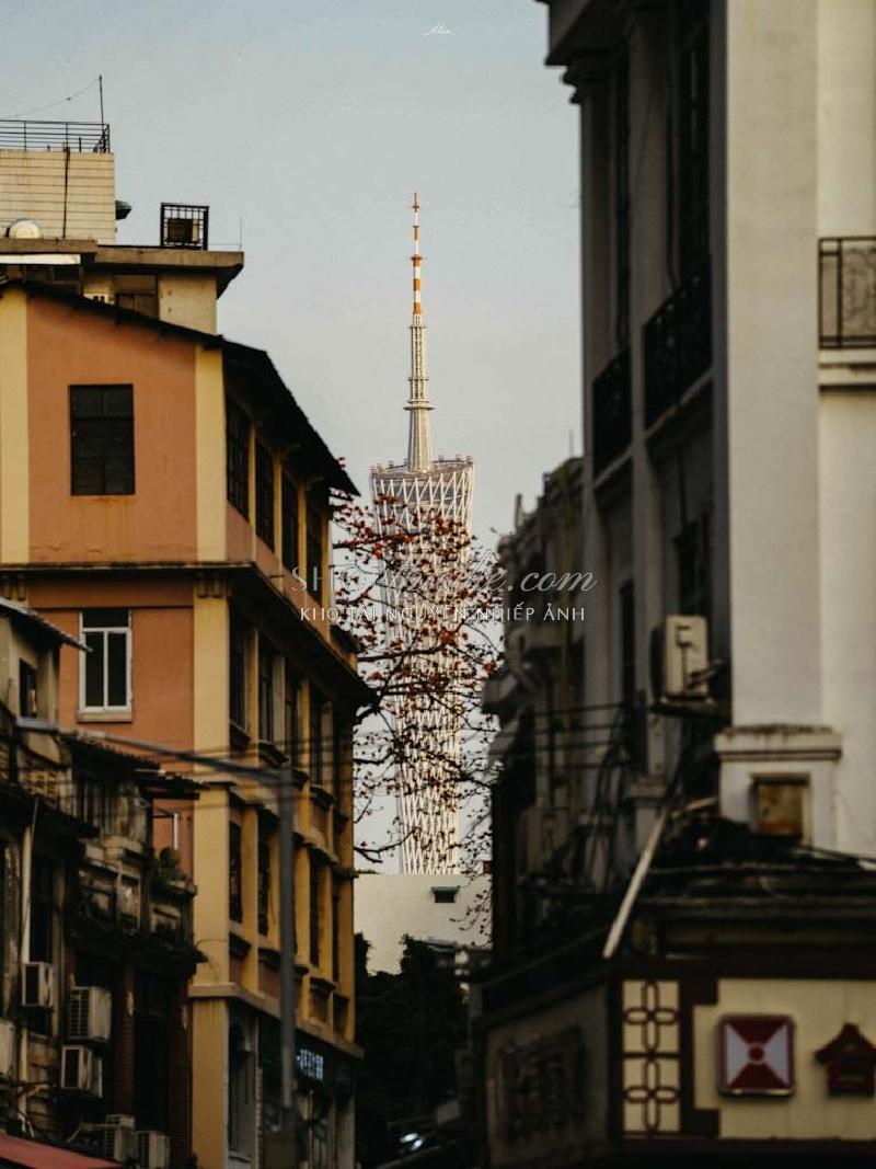 Bộ 94 Preset Presetszone 2025 - Giải Pháp Chỉnh Màu Đa Phong Cách Cho Mọi Thể Loại Ảnh (XMP/DNG/CUBE) 46 shopthietke com No9 KODAK