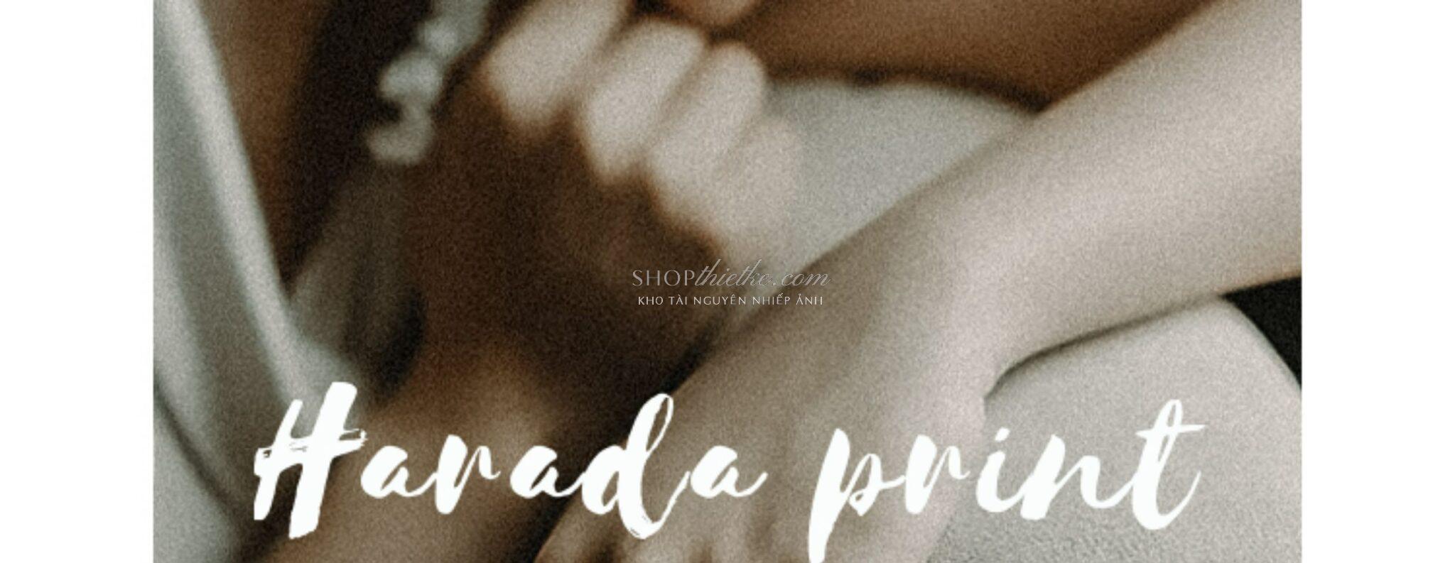 shopthietke com Shopthietke.com 112 scaled