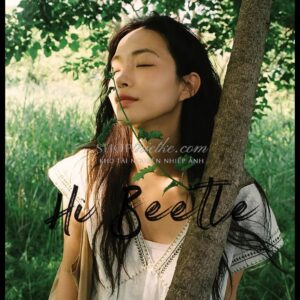 Preset Trung Quốc Cổ Điển - 37 Màu Rừng Nhiệt Đới Đậm Chất Điện Ảnh (XMP/CUBE) 11 shopthietke com Shopthietke.com 72