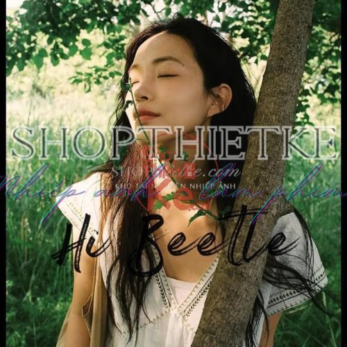 Preset Trung Quốc Cổ Điển - 37 Màu Rừng Nhiệt Đới Đậm Chất Điện Ảnh (XMP/CUBE)