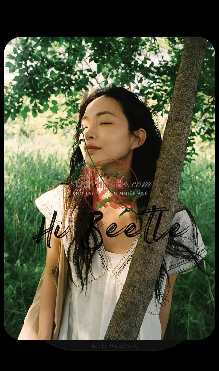 Preset Trung Quốc Cổ Điển - 37 Màu Rừng Nhiệt Đới Đậm Chất Điện Ảnh (XMP/CUBE) 6 shopthietke com Shopthietke.com 72