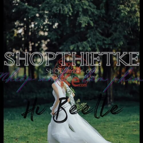 Preset Trung Quốc Cổ Điển - 37 Màu Rừng Nhiệt Đới Đậm Chất Điện Ảnh (XMP/CUBE)