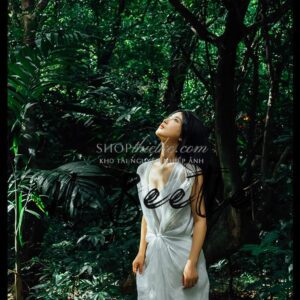 Preset Trung Quốc Cổ Điển - 37 Màu Rừng Nhiệt Đới Đậm Chất Điện Ảnh (XMP/CUBE) 9 shopthietke com Shopthietke.com 74