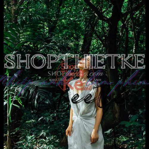 Preset Trung Quốc Cổ Điển - 37 Màu Rừng Nhiệt Đới Đậm Chất Điện Ảnh (XMP/CUBE)