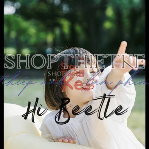 shopthietke com Shopthietke.com 84