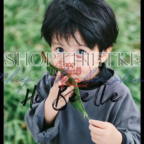 shopthietke com Shopthietke.com 88