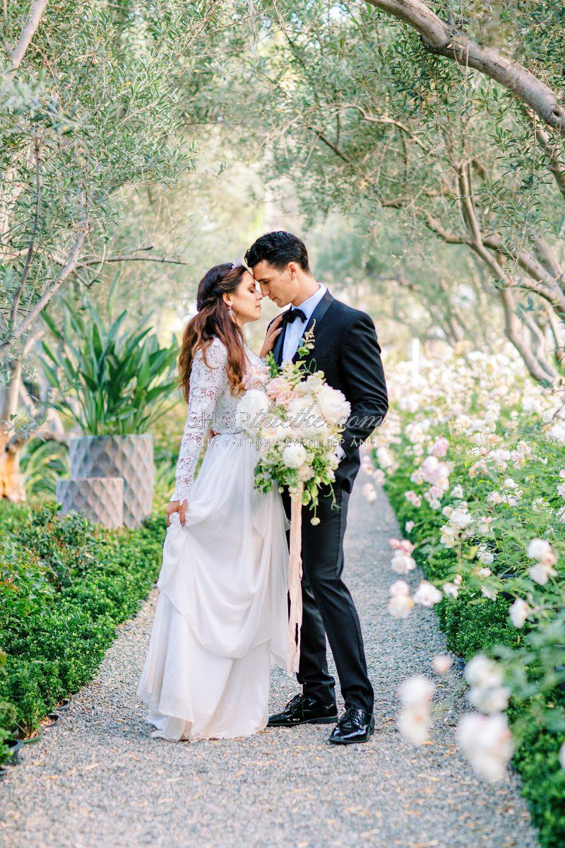 Kodak Master Pack - Trải Nghiệm Màu Phim Analog Chân Thực Nhất (XMP) 7 shopthietke com anh 4