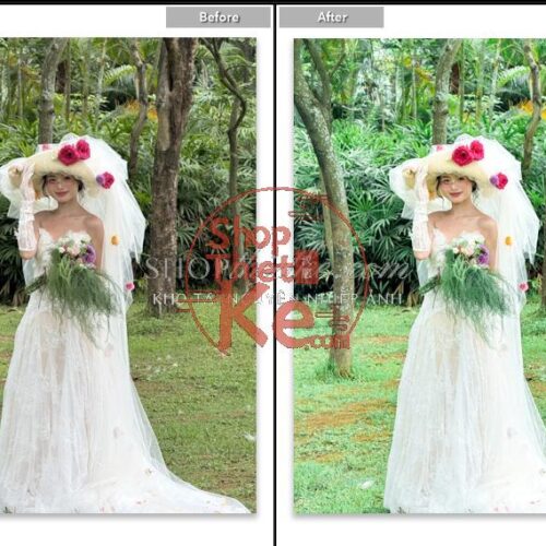 Preset Màu Takagi Shinpei - 9 Tông Nhẹ Nhàng Chuẩn Nhật (XMP/CUBE)