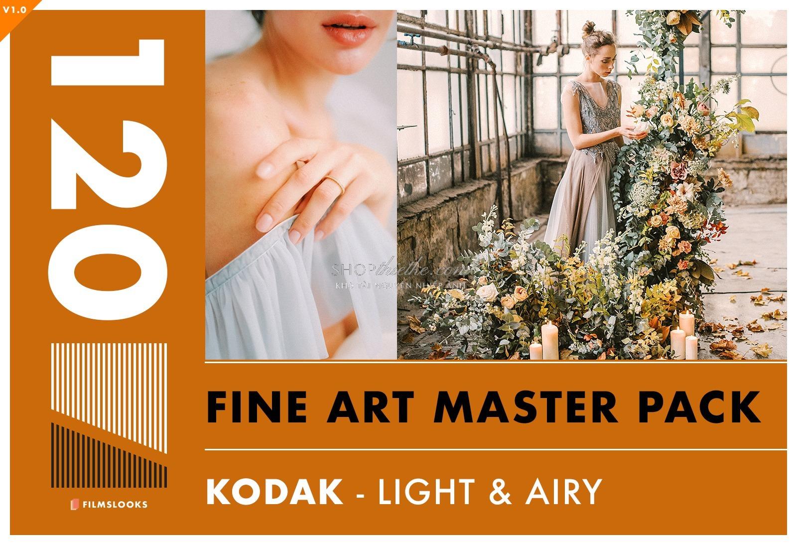 Kodak Master Pack - Trải Nghiệm Màu Phim Analog Chân Thực Nhất (XMP) 3 shopthietke com anh