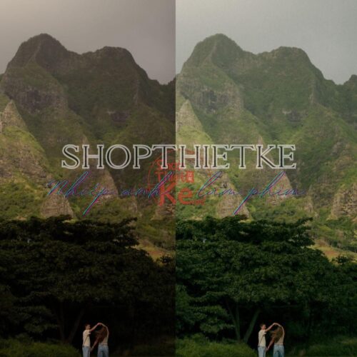 Preset Lightroom Rewind – Màu Film Nhẹ Nhàng, Sang Trọng, Cực Dễ Dùng (XMP/DNG)