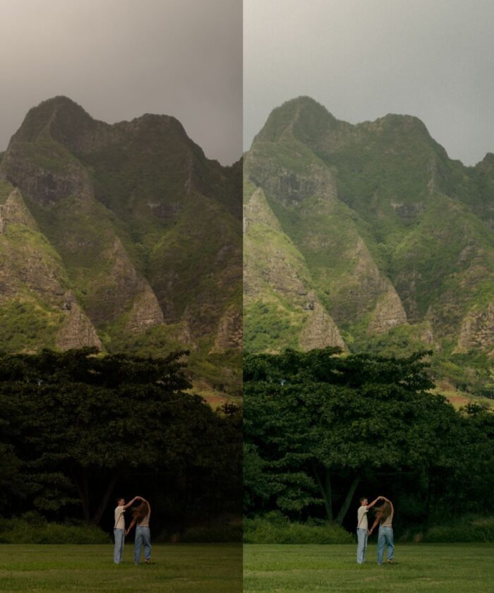 Preset Lightroom Rewind – Màu Film Nhẹ Nhàng, Sang Trọng, Cực Dễ Dùng (XMP/DNG)