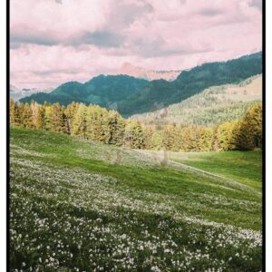 Tái Hiện Màu Phim Analog Với 39 Profile Lightroom XMP