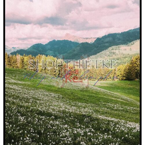 Tái Hiện Màu Phim Analog Với 39 Profile Lightroom XMP