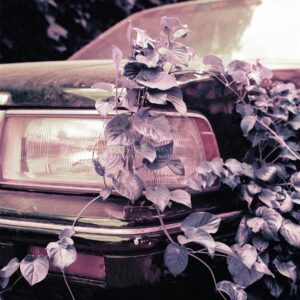 Tái Hiện Màu Phim Analog Với 39 Profile Lightroom XMP