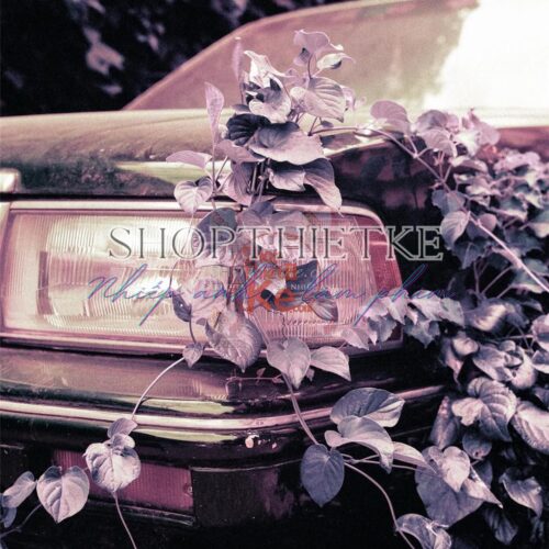 Tái Hiện Màu Phim Analog Với 39 Profile Lightroom XMP