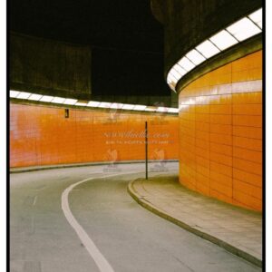 Tái Hiện Màu Phim Analog Với 39 Profile Lightroom XMP