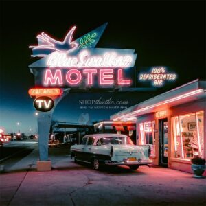 Tái Hiện Màu Phim Analog Với 39 Profile Lightroom XMP