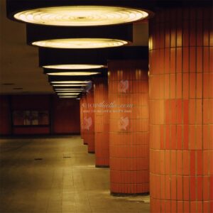 Tái Hiện Màu Phim Analog Với 39 Profile Lightroom XMP