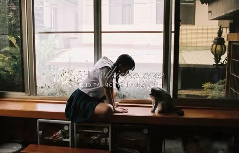 shopthietke com Shopthietke.com 1