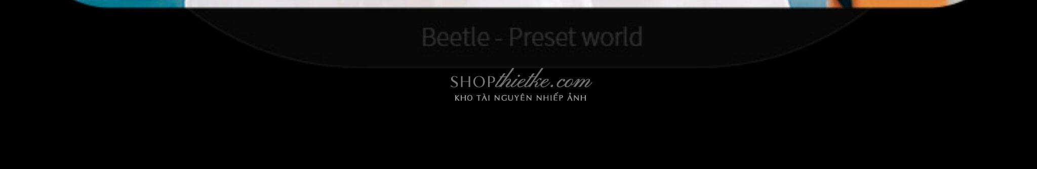 shopthietke com Shopthietke.com 36 scaled