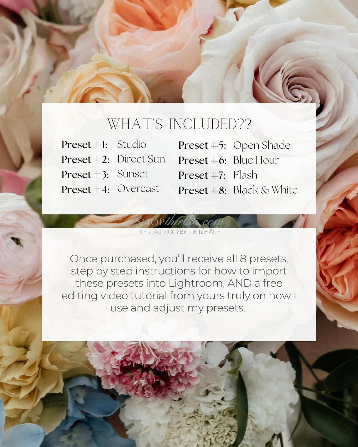 shopthietke com anh 1