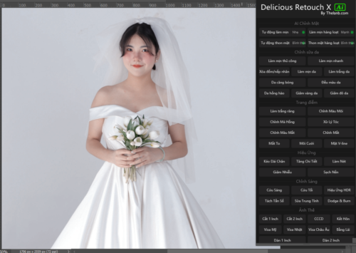 Delicious Retouch X Ai Pro – Retouch Nhanh, Chuẩn, Thông Minh Cho Studio (WIN/MAC)
