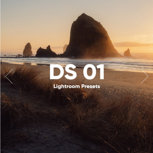 DS Presets 01 – Bộ Preset Lightroom Dành Cho Ảnh RAW Chuyên Nghiệp (XMP)