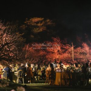 Bộ Preset Nhiếp Ảnh Chuyên Nghiệp 2025 – Tông Ấm, Trắng Sáng, Chuẩn Màu Studio (XMP)