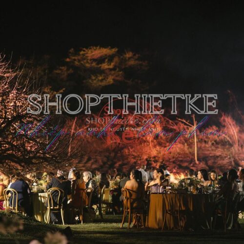 Bộ Preset Nhiếp Ảnh Chuyên Nghiệp 2025 – Tông Ấm, Trắng Sáng, Chuẩn Màu Studio (XMP)