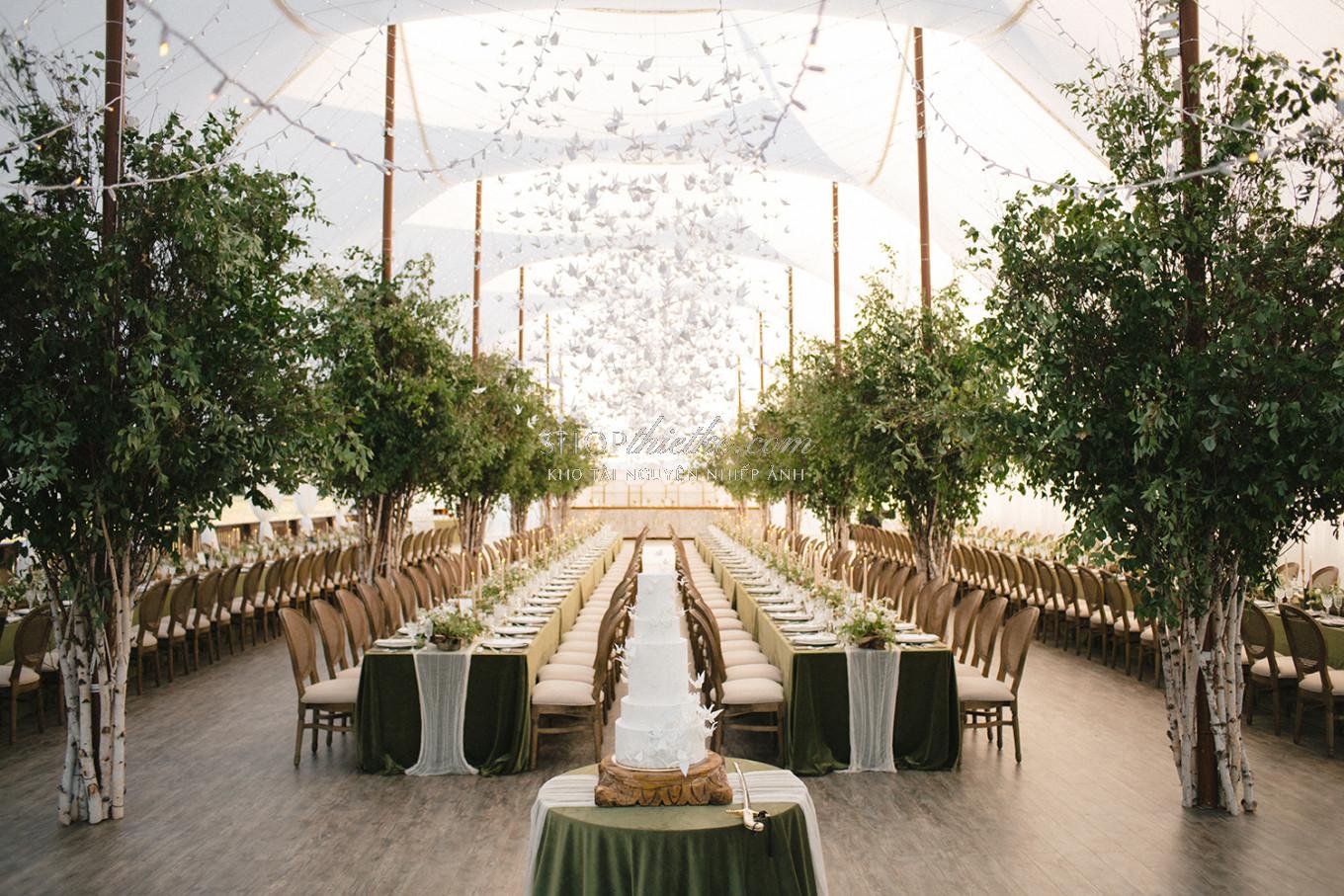 Bộ Preset Nhiếp Ảnh Chuyên Nghiệp 2025 – Tông Ấm, Trắng Sáng, Chuẩn Màu Studio (XMP) 16 shopthietke com dvlop kmp dtd 11