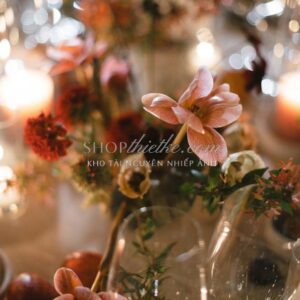 Bộ Preset Nhiếp Ảnh Chuyên Nghiệp 2025 – Tông Ấm, Trắng Sáng, Chuẩn Màu Studio (XMP)