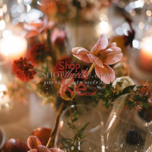 Bộ Preset Nhiếp Ảnh Chuyên Nghiệp 2025 – Tông Ấm, Trắng Sáng, Chuẩn Màu Studio (XMP)