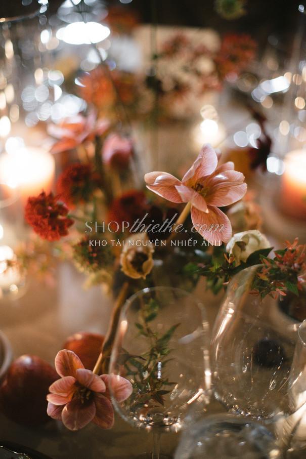 Bộ Preset Nhiếp Ảnh Chuyên Nghiệp 2025 – Tông Ấm, Trắng Sáng, Chuẩn Màu Studio (XMP) 12 shopthietke com dvlop kmp dtd 19