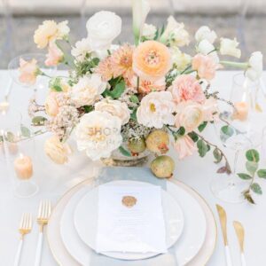 Lauren Fair Presets – Bộ Preset Lightroom Lấy Cảm Hứng Từ Film Fuji400H (XMP)