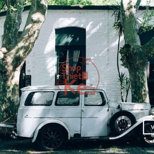 124 Preset Lightroom Giả Lập Film Cổ Điển – Fujifilm, Kodak, Agfa, Ilford (XMP)