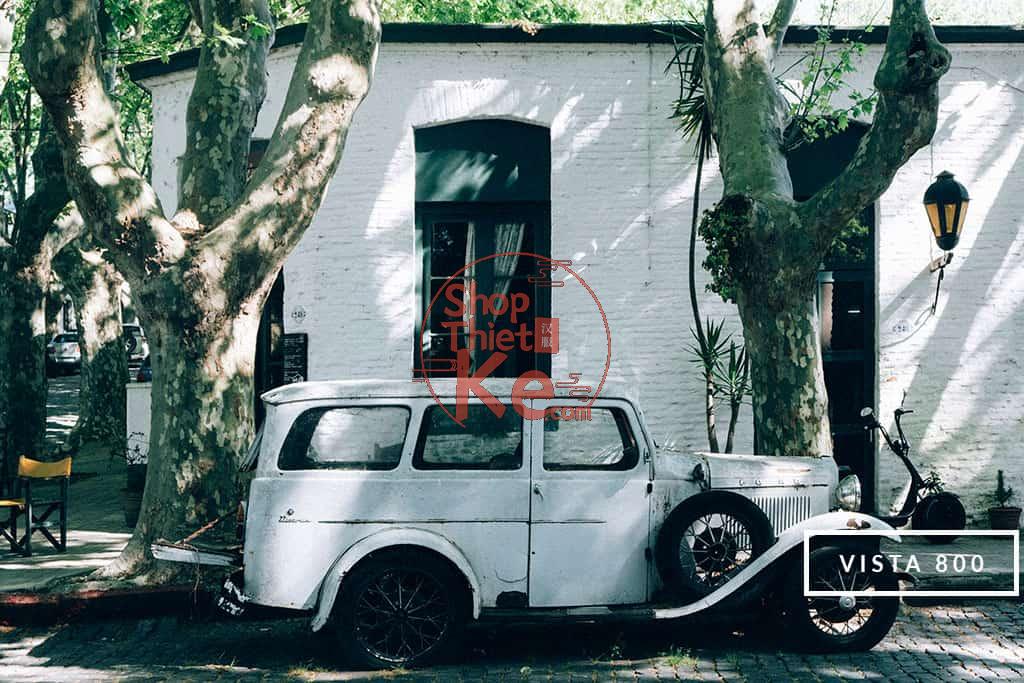 124 Preset Lightroom Giả Lập Film Cổ Điển – Fujifilm, Kodak, Agfa, Ilford (XMP) 10 Agfa Vista 800