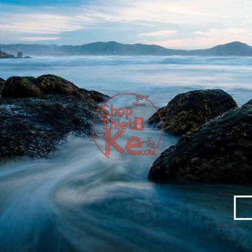 124 Preset Lightroom Giả Lập Film Cổ Điển – Fujifilm, Kodak, Agfa, Ilford (XMP)