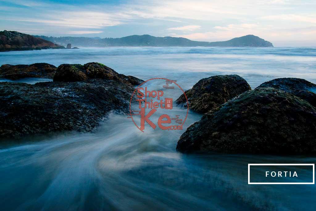 124 Preset Lightroom Giả Lập Film Cổ Điển – Fujifilm, Kodak, Agfa, Ilford (XMP) 4 Fortia 2