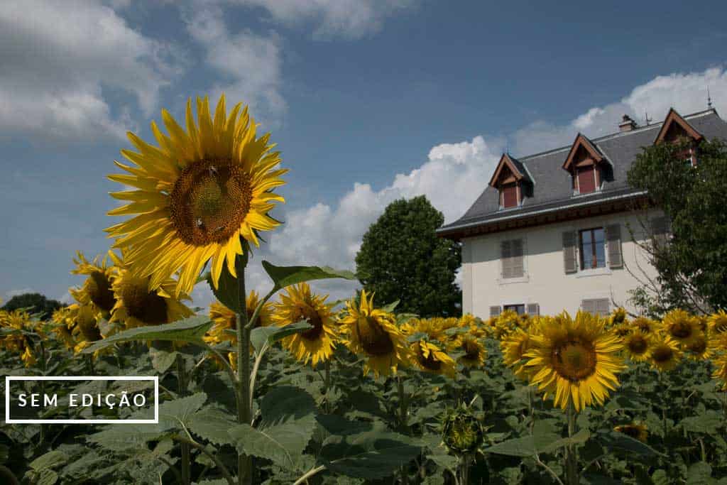 Fortia Sem EdiC3A7C3A3o 1