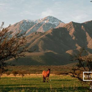 124 Preset Lightroom Giả Lập Film Cổ Điển – Fujifilm, Kodak, Agfa, Ilford (XMP) 23 Kodachrome 25 ClC3A1ssico Quente