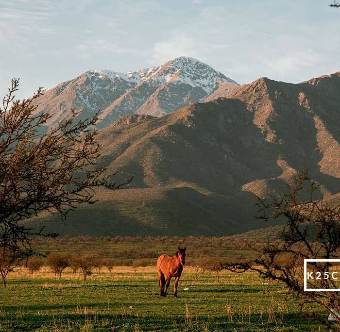 124 Preset Lightroom Giả Lập Film Cổ Điển – Fujifilm, Kodak, Agfa, Ilford (XMP)