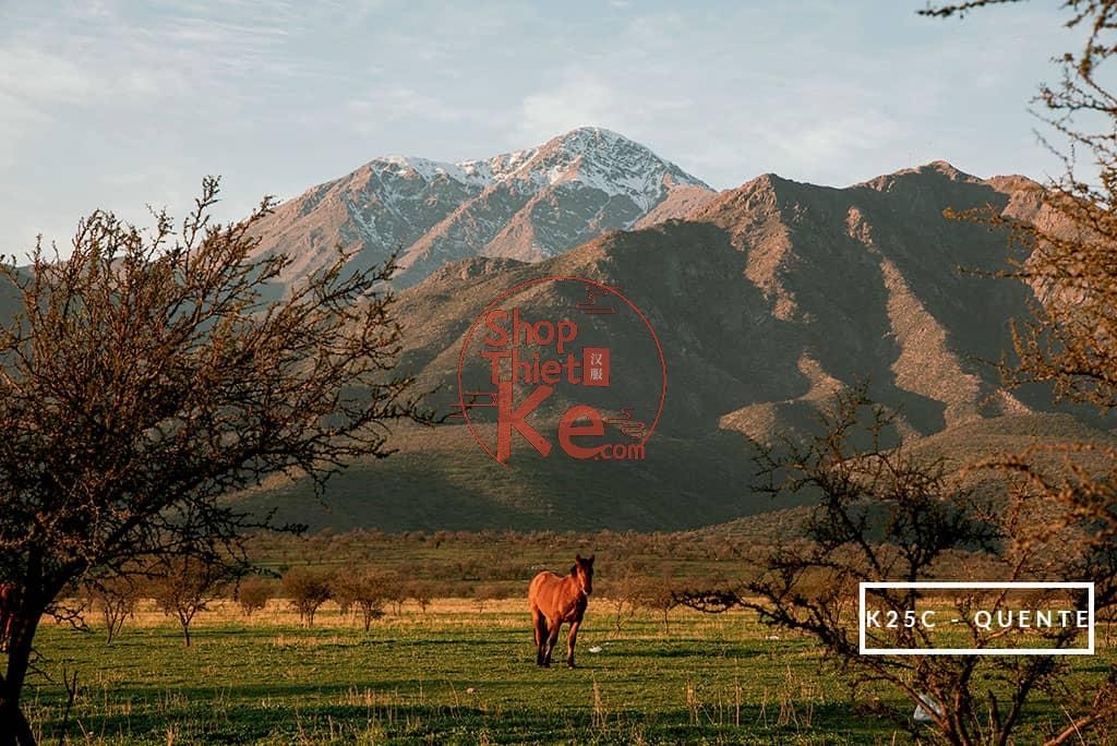 124 Preset Lightroom Giả Lập Film Cổ Điển – Fujifilm, Kodak, Agfa, Ilford (XMP) 13 Kodachrome 25 ClC3A1ssico Quente