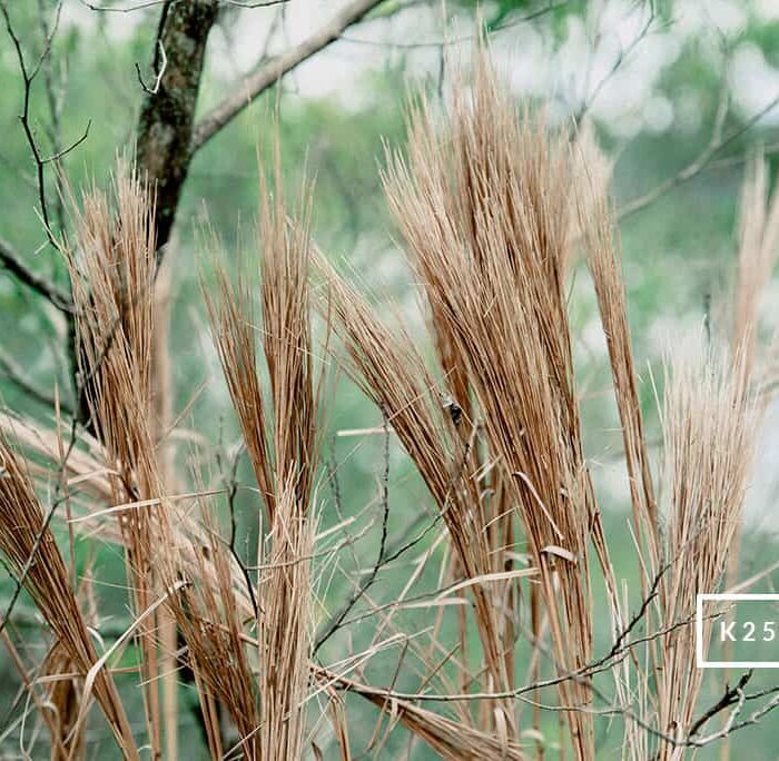 124 Preset Lightroom Giả Lập Film Cổ Điển – Fujifilm, Kodak, Agfa, Ilford (XMP)