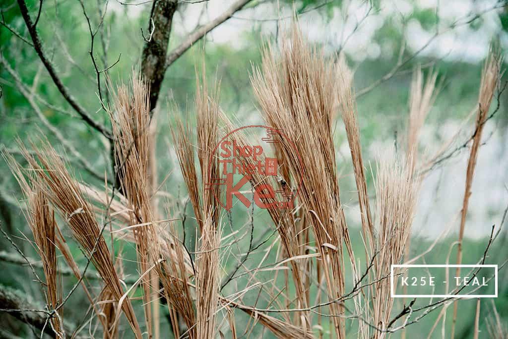 124 Preset Lightroom Giả Lập Film Cổ Điển – Fujifilm, Kodak, Agfa, Ilford (XMP) 7 Kodachrome 25 Esmaecido Teal