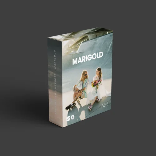 Preset Film Look Lấy Cảm Hứng Từ Kodak Gold – Dành Cho Ảnh Chân Dung & Ngoài Trời (XMP)