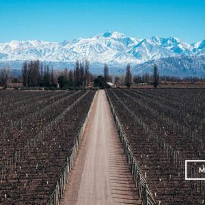 124 Preset Lightroom Giả Lập Film Cổ Điển – Fujifilm, Kodak, Agfa, Ilford (XMP) 15 Max 800