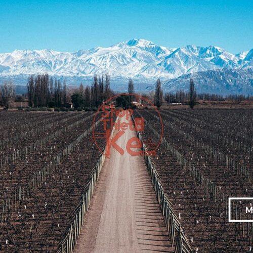 124 Preset Lightroom Giả Lập Film Cổ Điển – Fujifilm, Kodak, Agfa, Ilford (XMP)