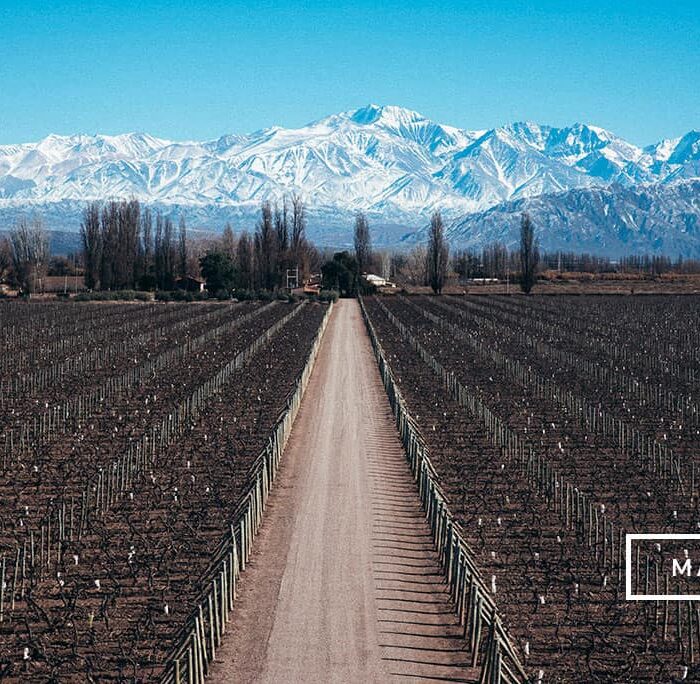 124 Preset Lightroom Giả Lập Film Cổ Điển – Fujifilm, Kodak, Agfa, Ilford (XMP)