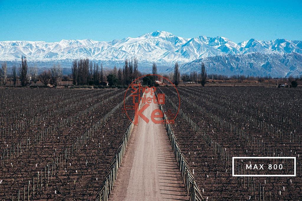 124 Preset Lightroom Giả Lập Film Cổ Điển – Fujifilm, Kodak, Agfa, Ilford (XMP) 5 Max 800